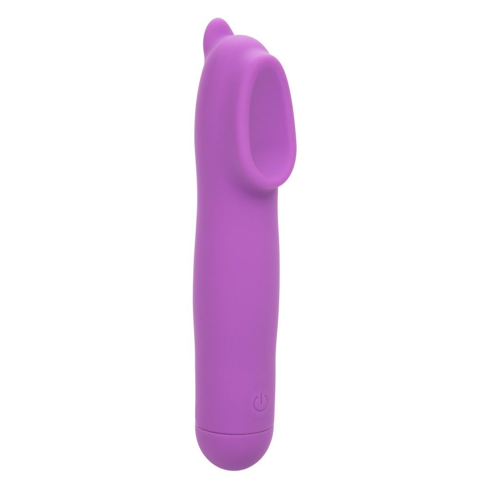 First-Time Rechargeable Hummer