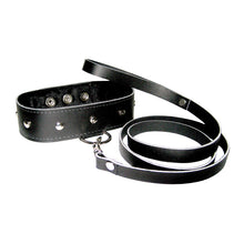 Load image into Gallery viewer, Leather Leash and Collar Set
